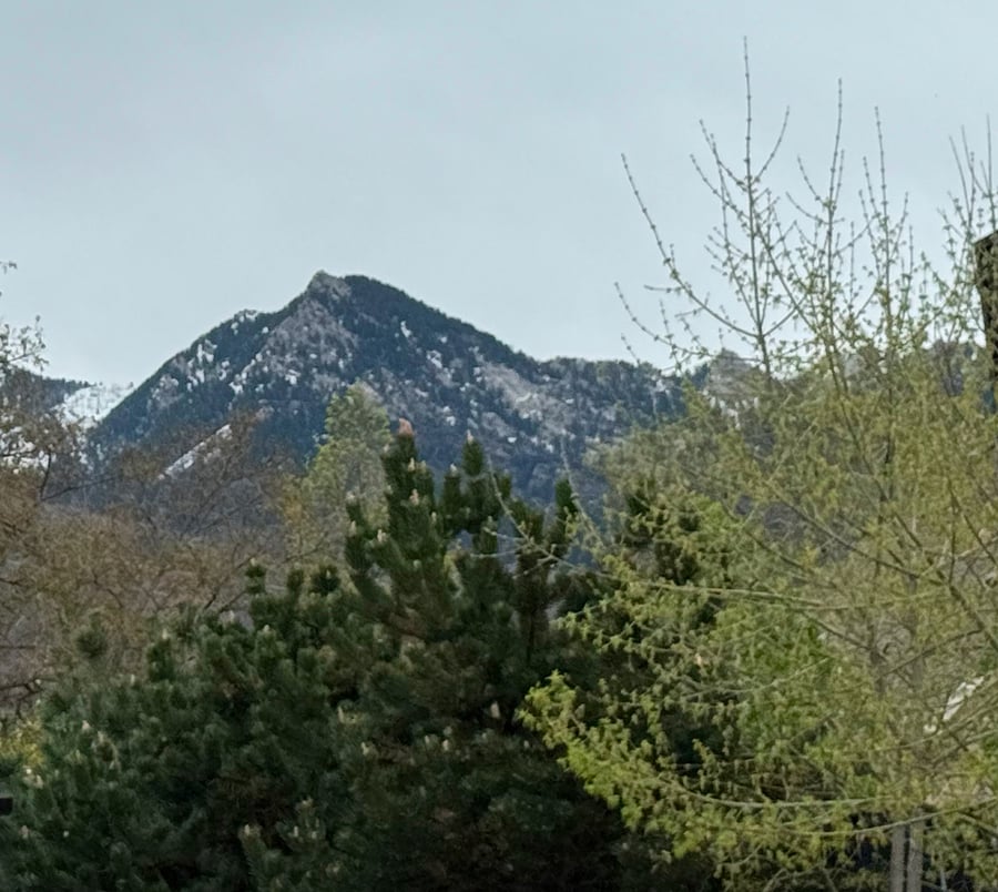 view of Wasatch Mountain just outside
