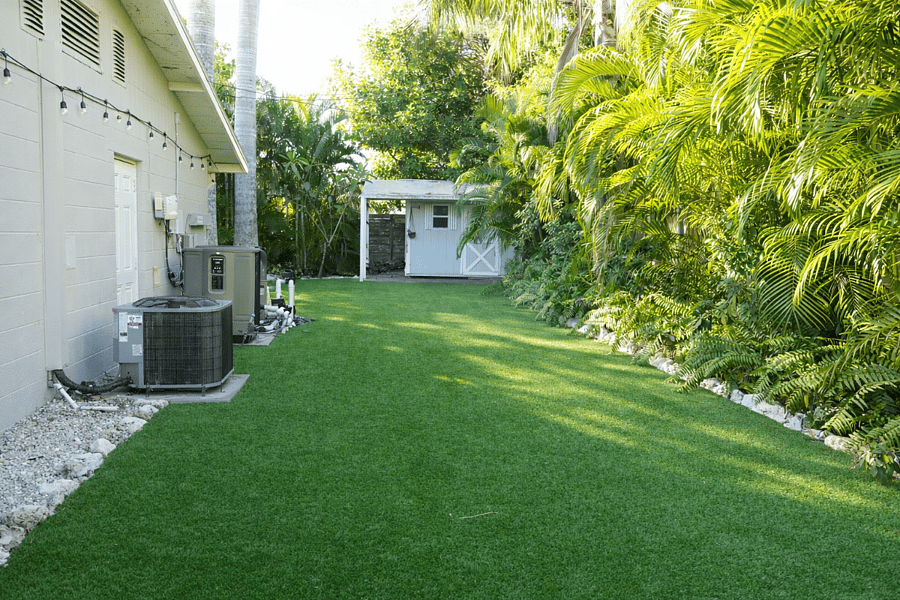 turf backyard
