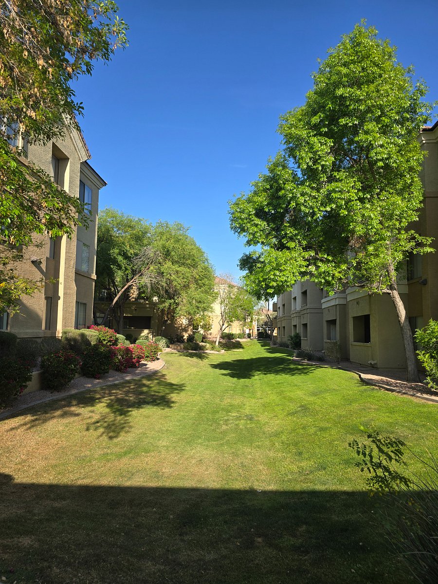 Furnished Finder property 978376_1 photo 51