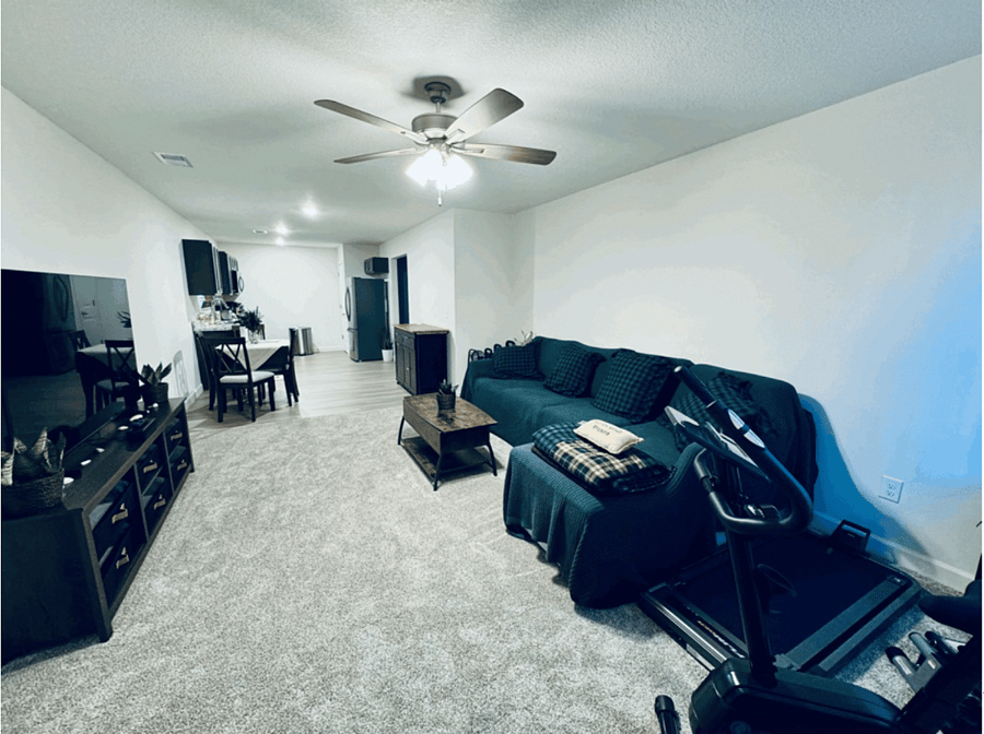 Living room and kitchen