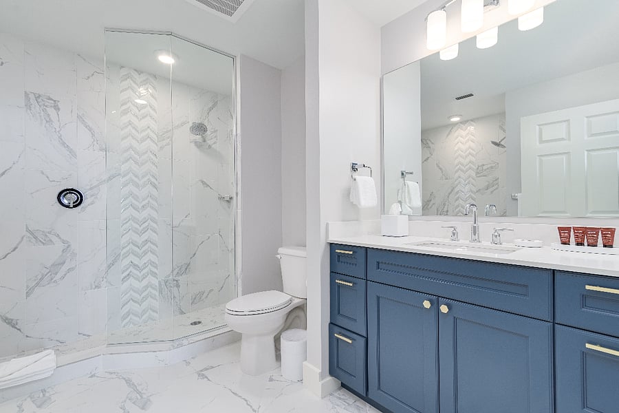 Master Vanity & Walk-In Shower