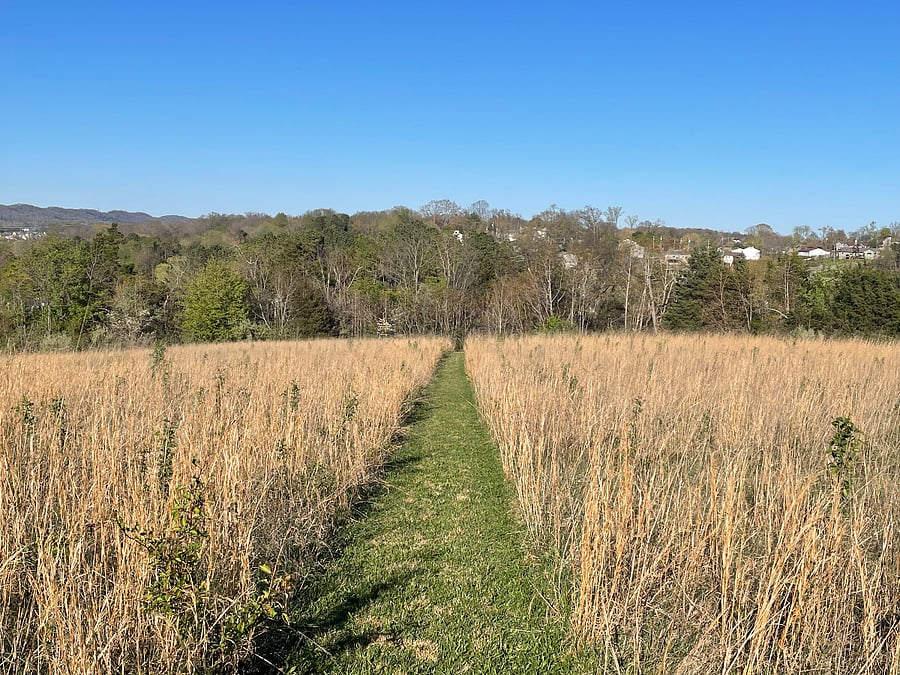 Trail Around the Property