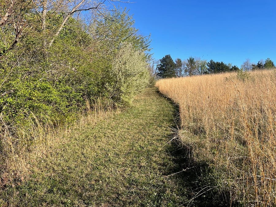 Trail Around the Property