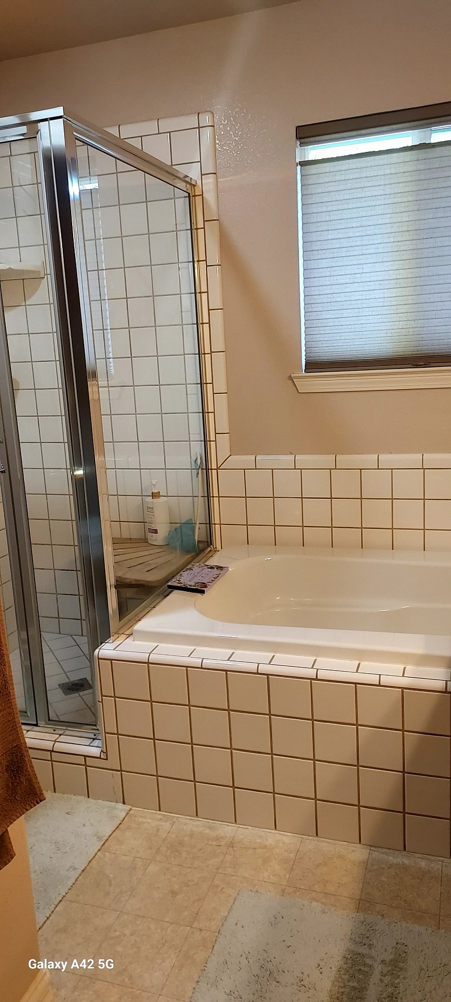 Master Bathroom/ shower & tub