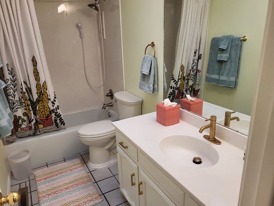 Guest Bathroom