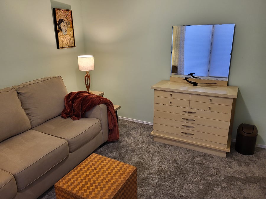 Guest Room with Queen size Sleeper SGuest ofa