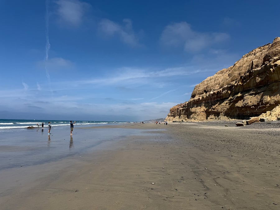 Torrey Pines Beach and State Park.