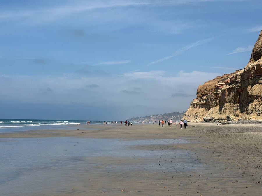 Torrey Pines Beach and State Park.