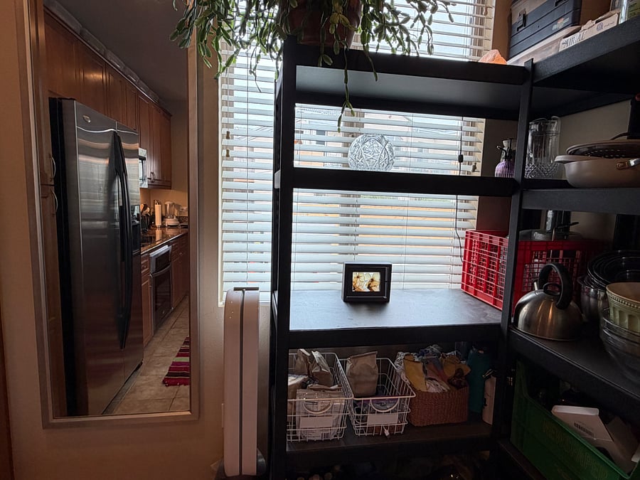E facing window in kitchen with extra storage shelves.
