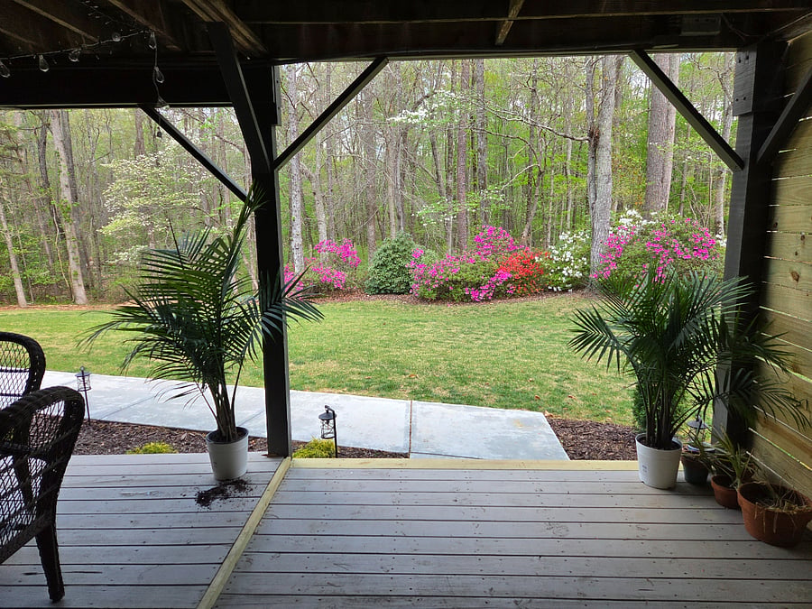 Private porch with wooded views. We have lots of squirrels, birds and sometimes deer that you can enjoy watching. 