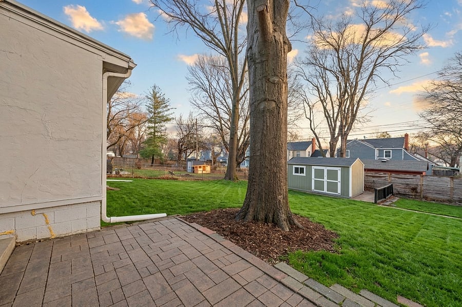 Backyard