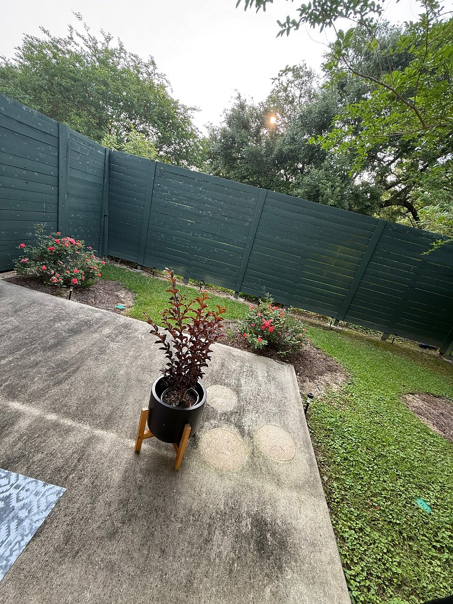 Furnished Finder property 979289_1 photo 15