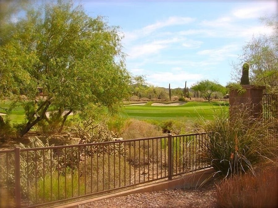 View From Patio