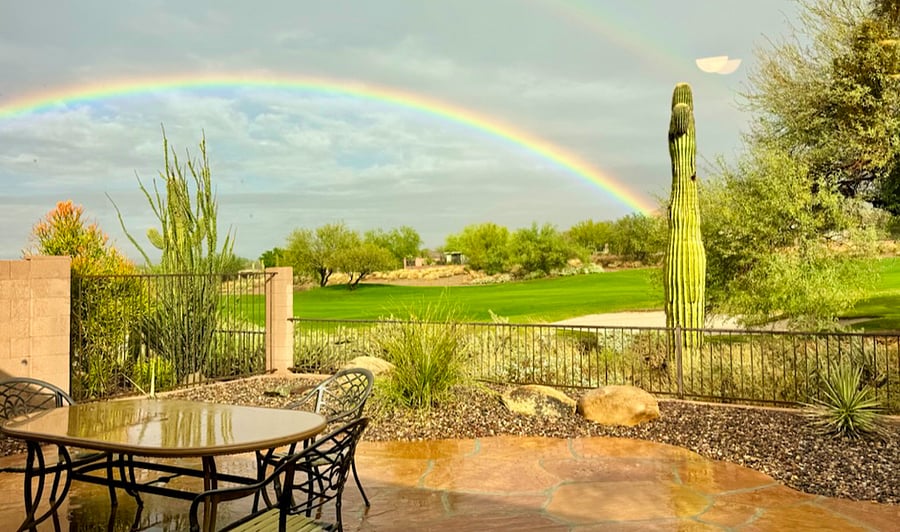 View From Patio