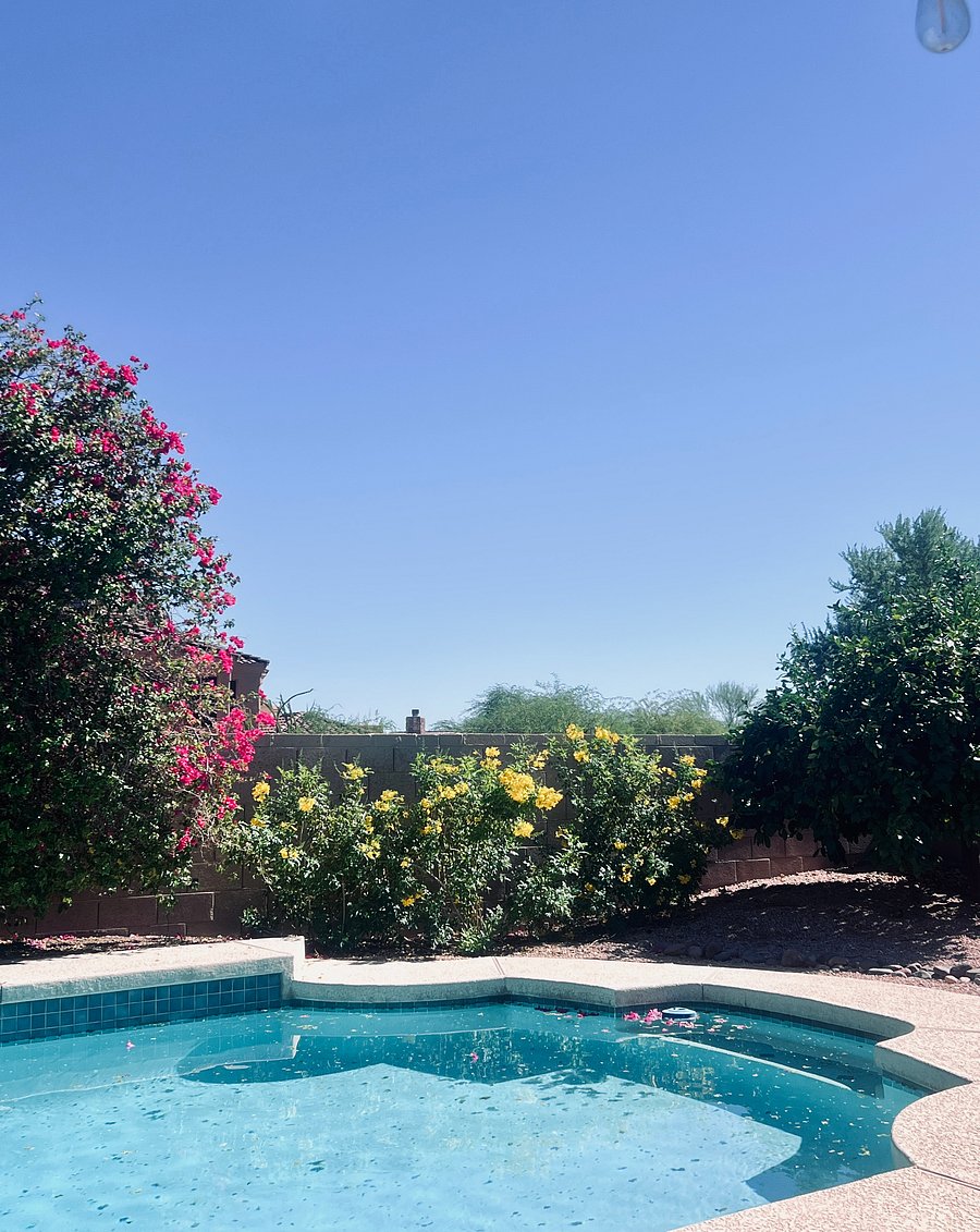 Retreat Patio Views