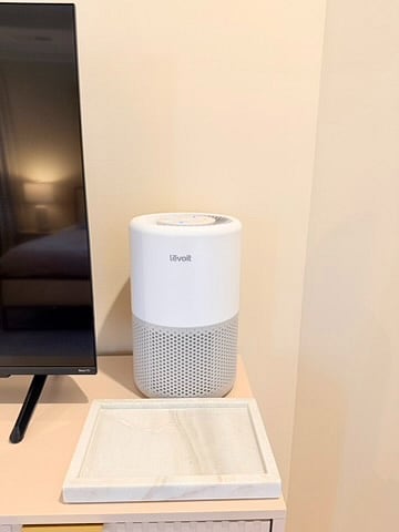 air purifier & catchall tray in master's suite