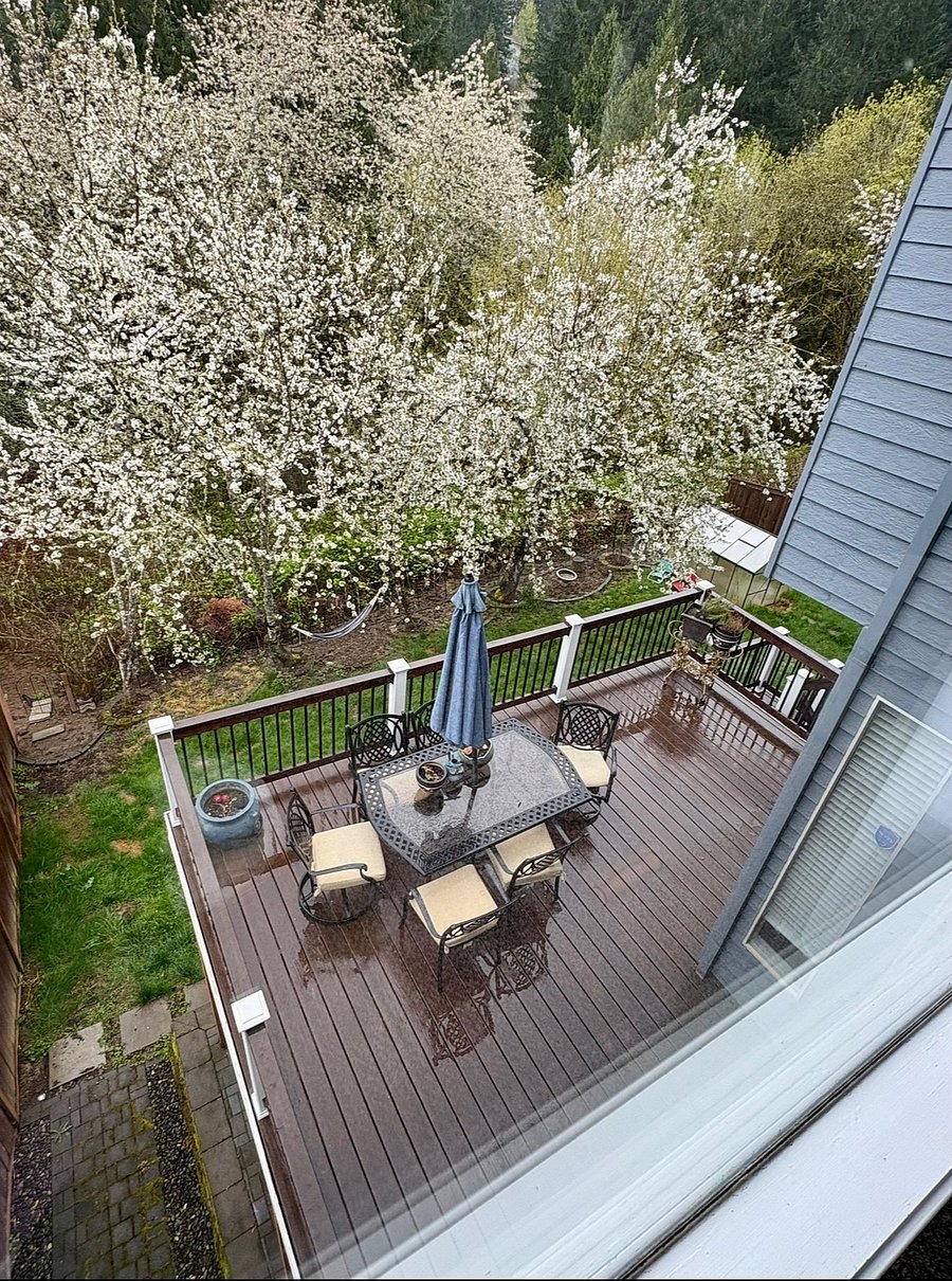 Shared back patio with outside eating area overlooking nature preserve