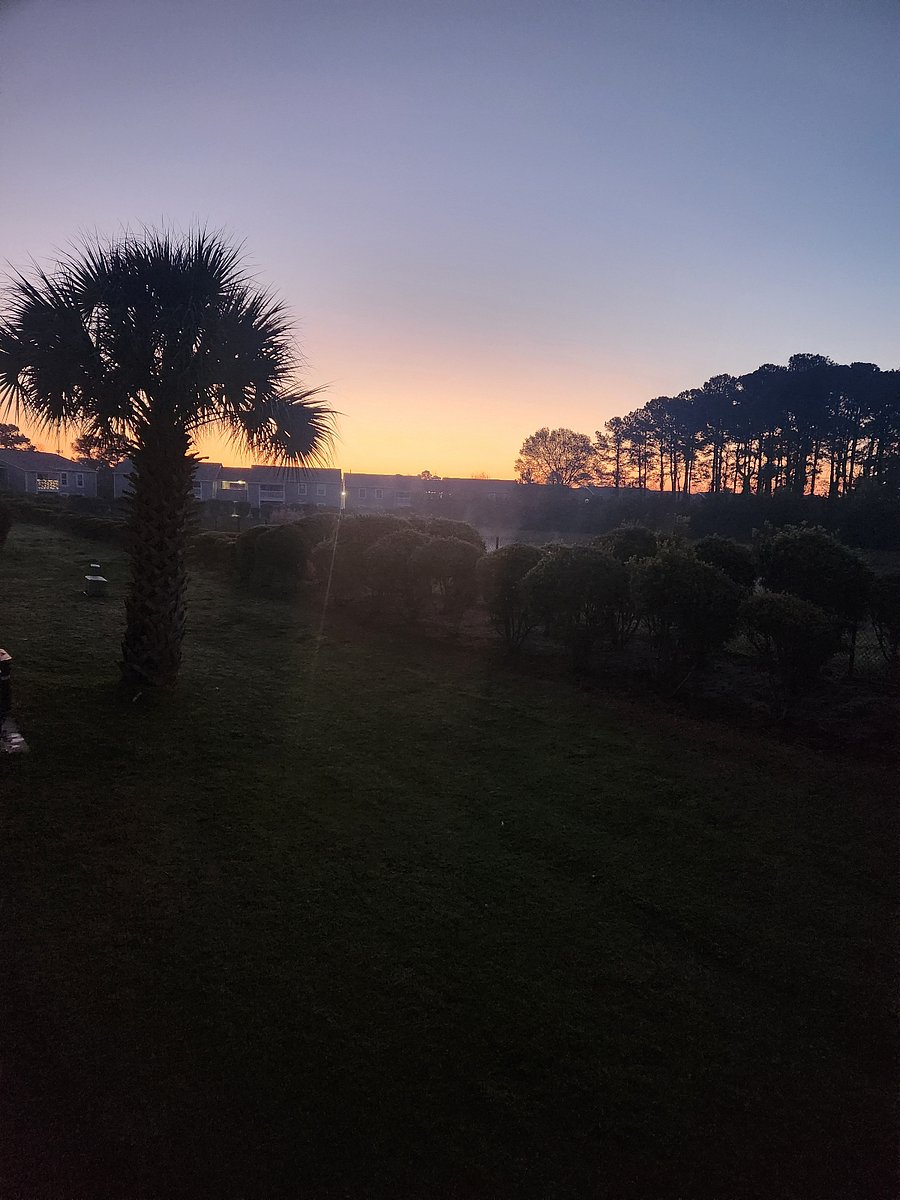 morning view from back porch - great place to sip your coffee.