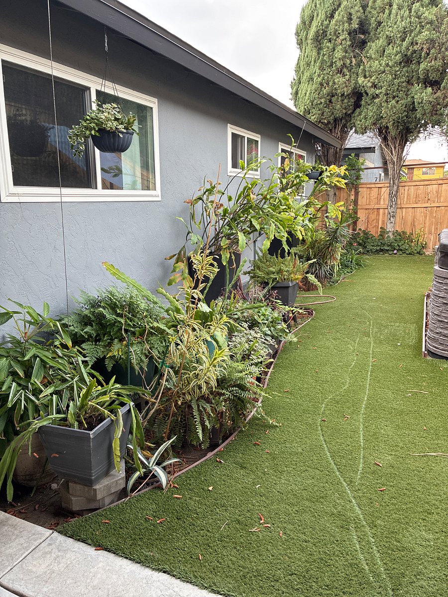 Backyard focused on room for rent