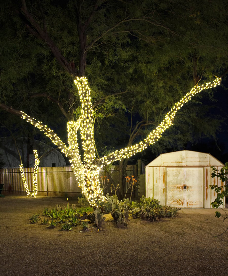 Cozy up under the warm glow of string lights and experience the ultimate desert night vibe.