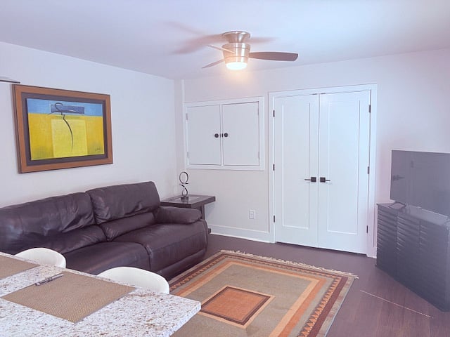 living room with closet/storage