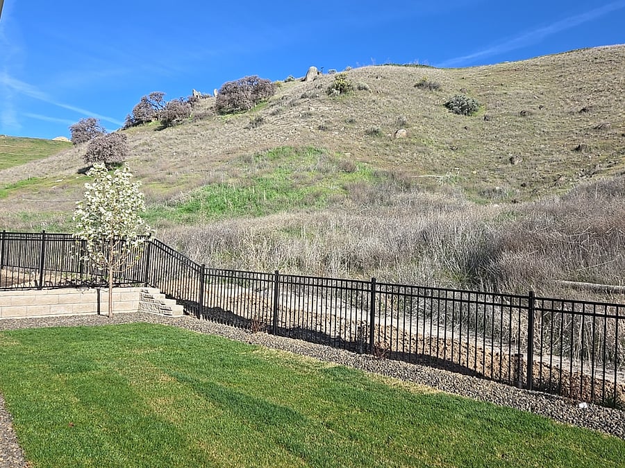 A tree is blooming on the west side of the backyard, providing a private view of the Idaho foothills and the beautiful sunset in the evening.