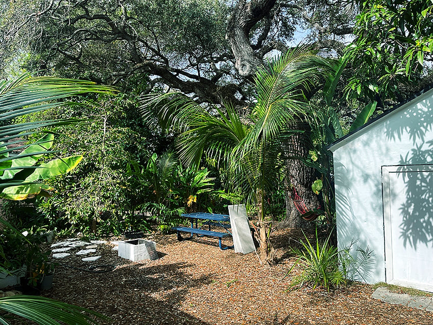 Backyard
