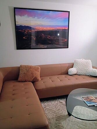 Living Room leather