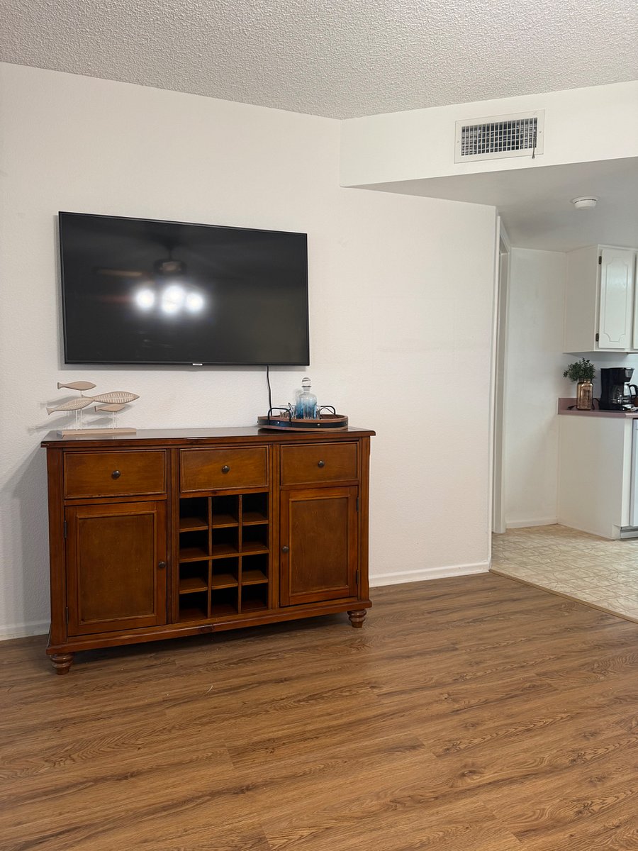 Back living area and television