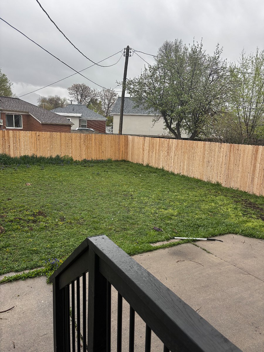 fully fenced yard- plenty of sunshine!
