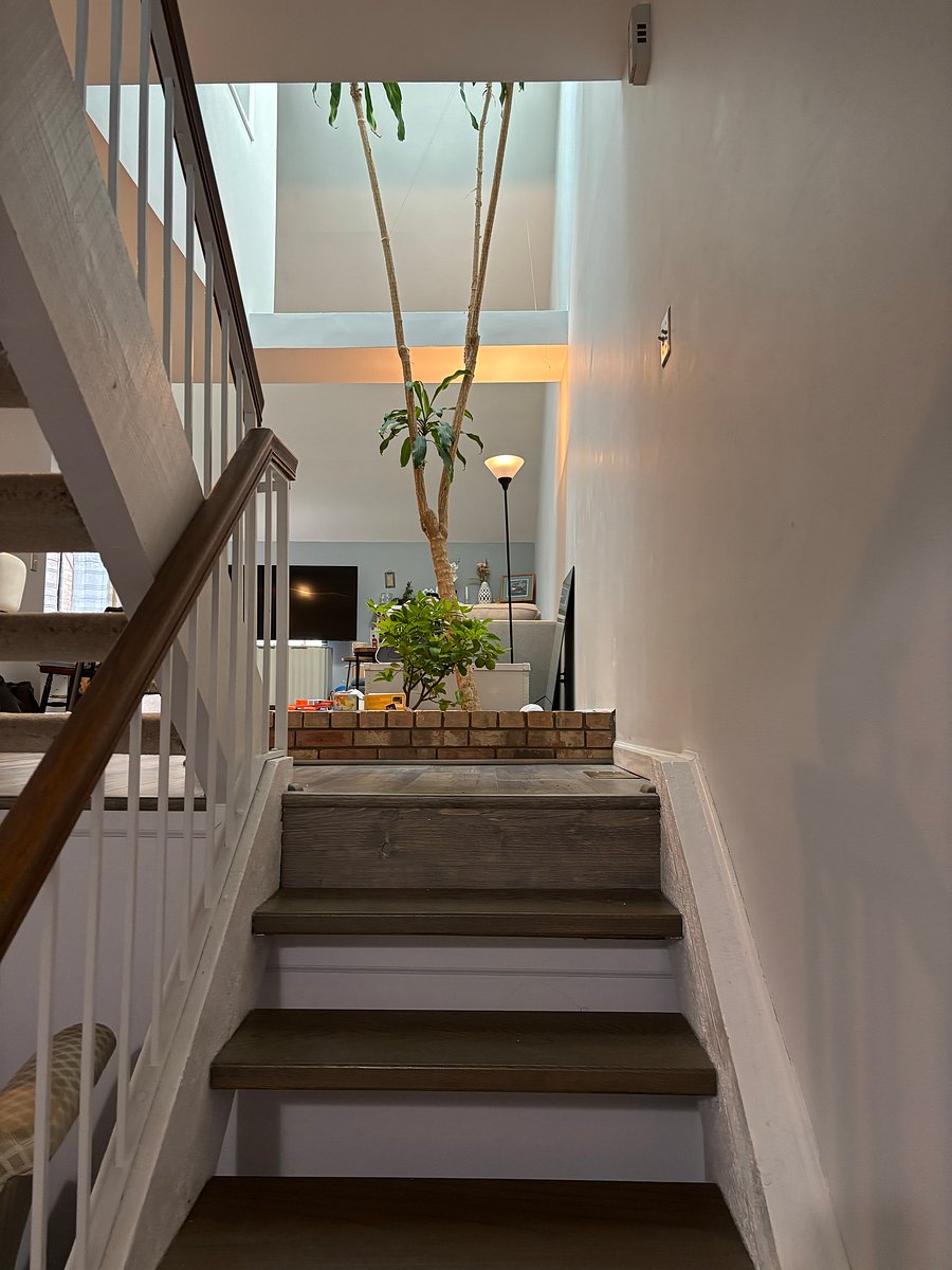 Lime tree and "palm" tree inside!