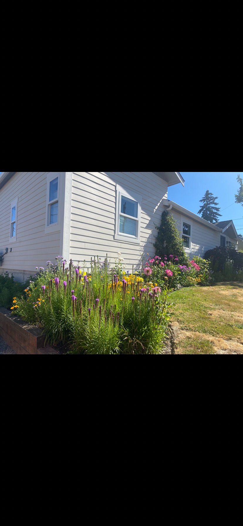 Furnished Finder property 980056_1 photo 9