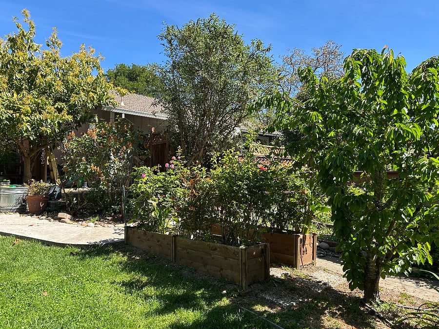 Property around cottage