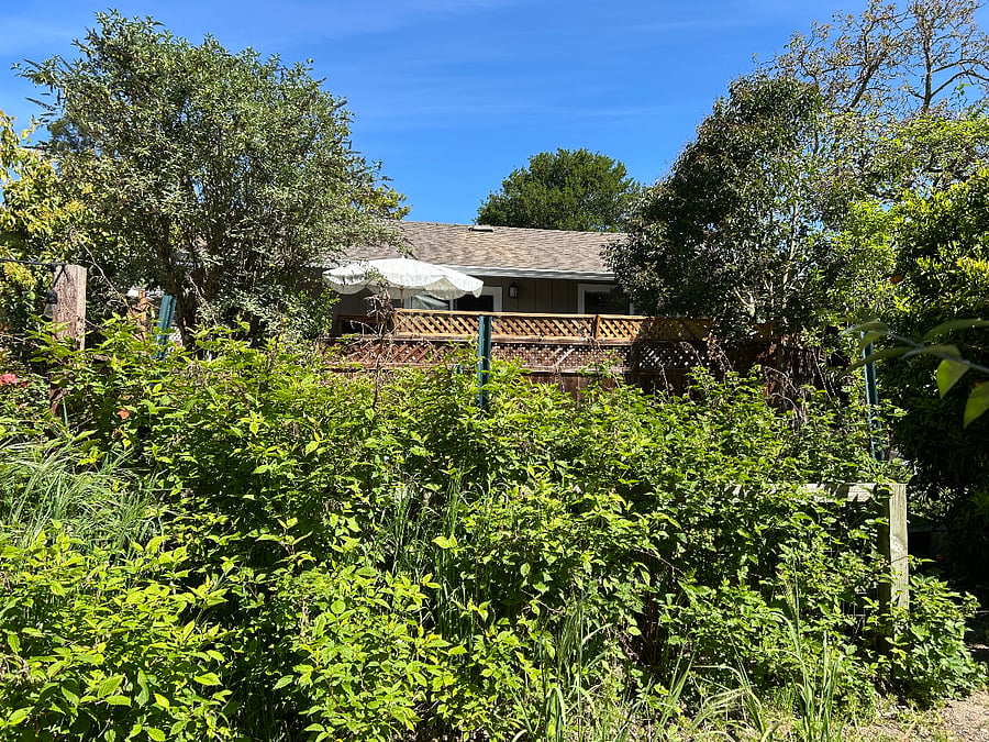 Property around cottage