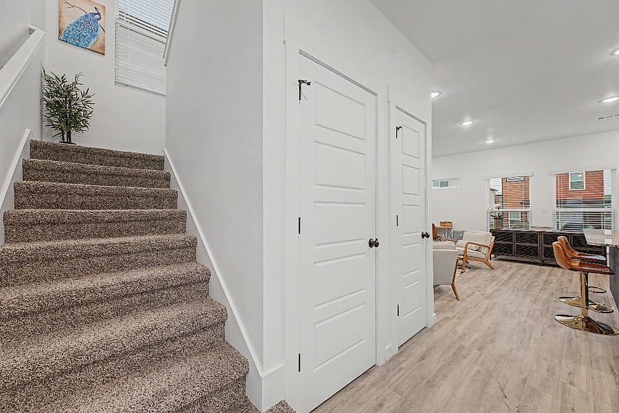Closet and pantry under staircase