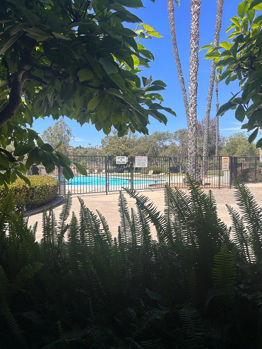 Pool area and jacuzzi across from patio