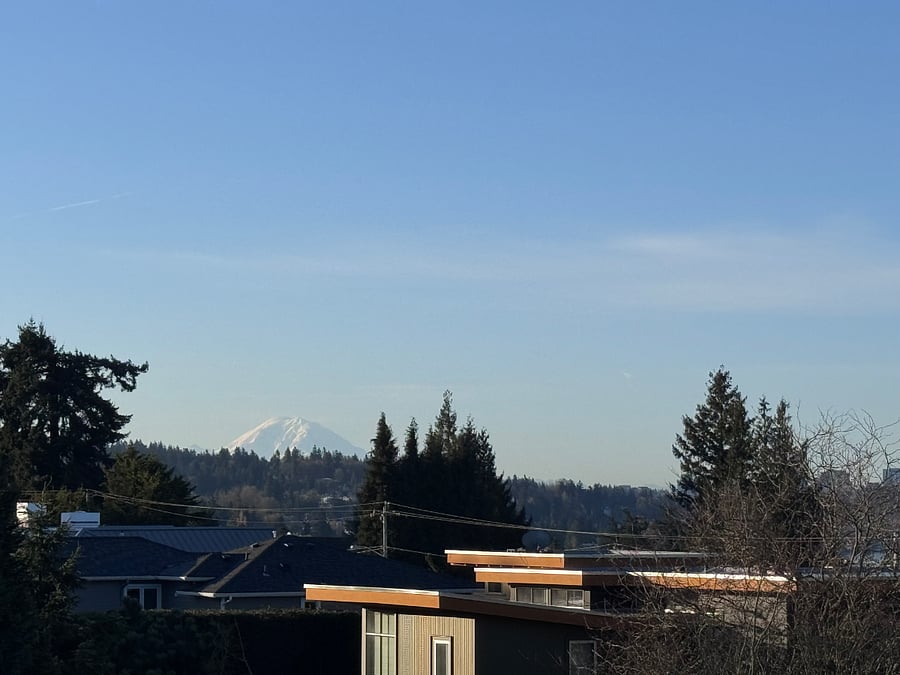 Mount Rainier 