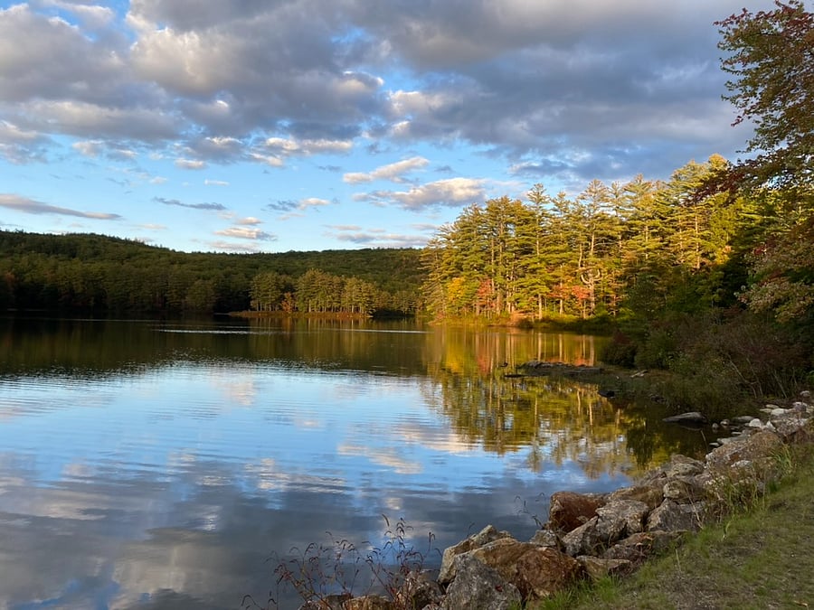 Walk or drive to scenic Goose Pond and its beautiful waking trails (just one mile away).