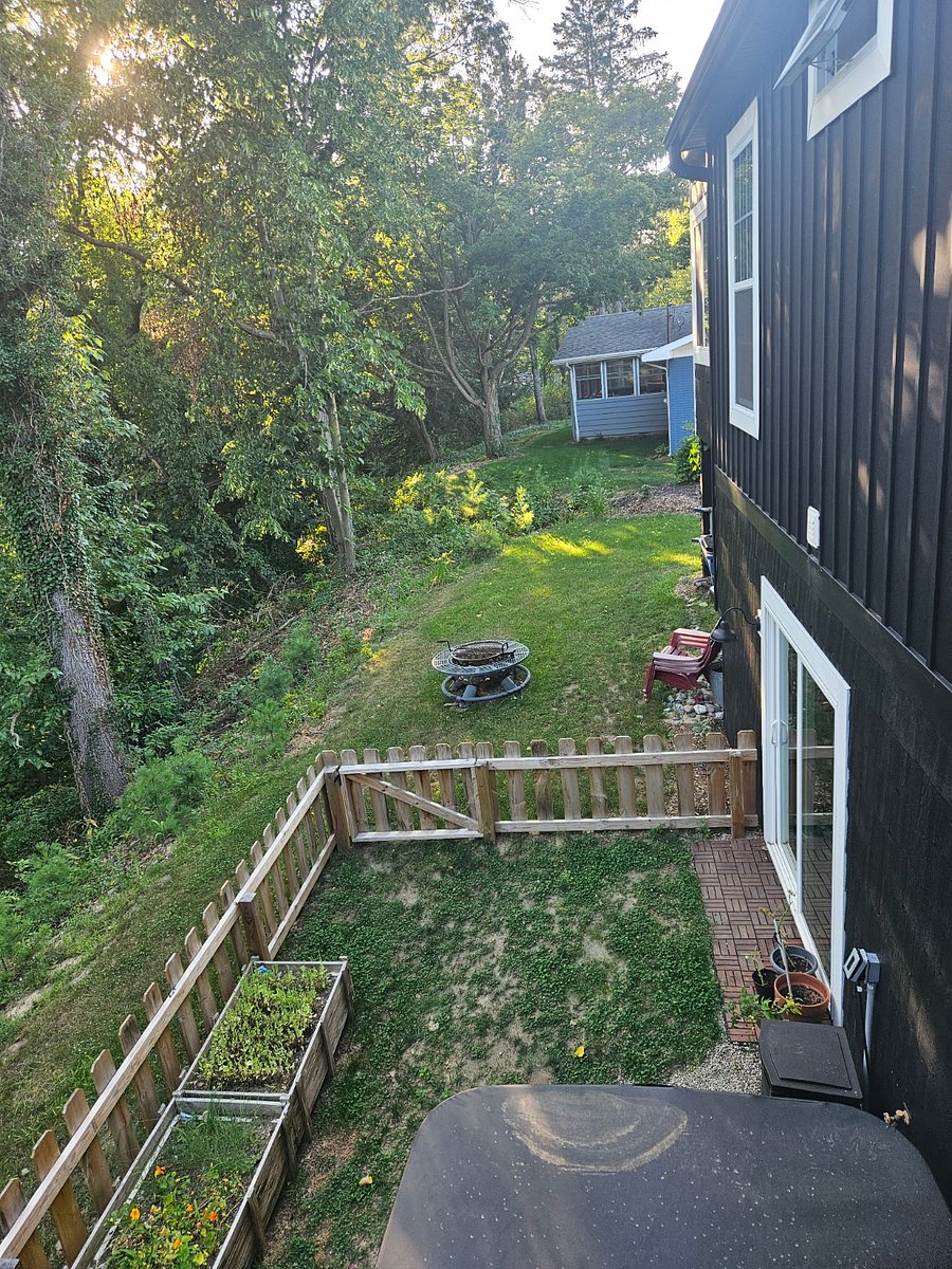 Back yard