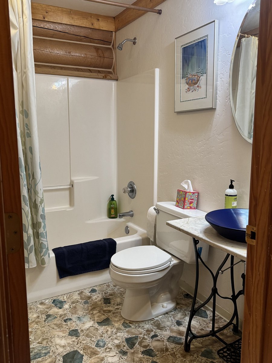 Main floor bathroom and shower
