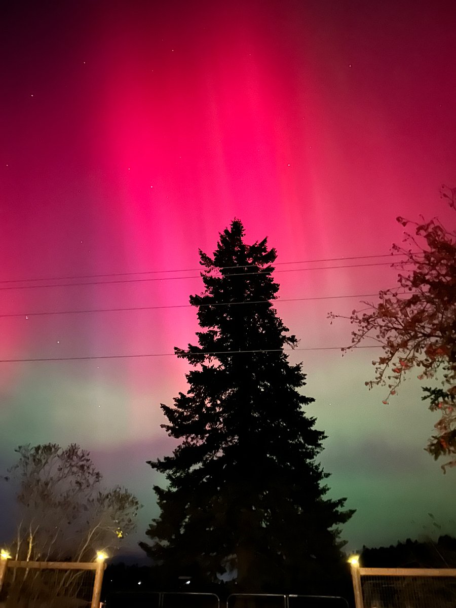 Northern lights this November from the driveway