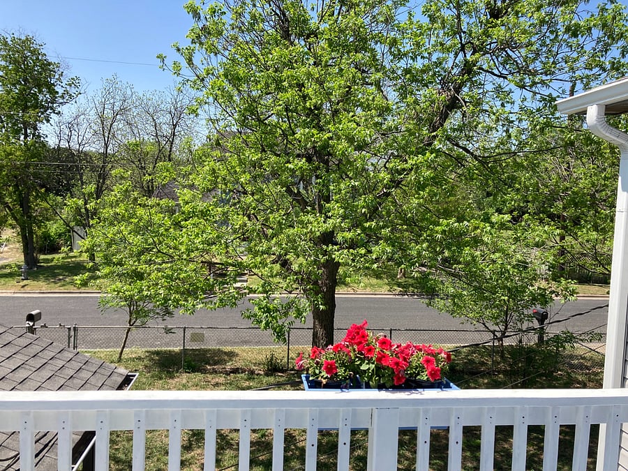 Furnished Finder property 980490_1 photo 16