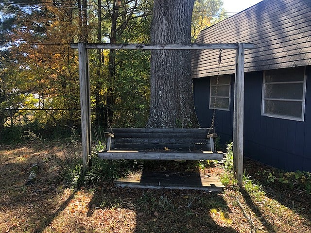 Back yard swing.