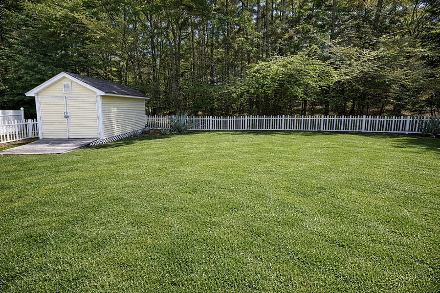 BACKYARD AND SHEDENTRYWAY