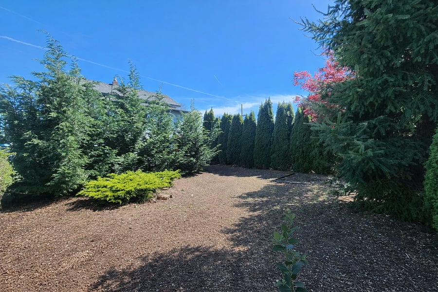 HUGE fenced backyard with mature landscaping.
Landscaping included monthly.