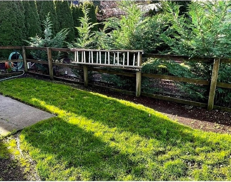 Home has private, fenced front, side and back yards. A rare feature in this fantastic location! This is part of the back yard. Trees have matured and are very tall, adding to the peaceful, private vibe.