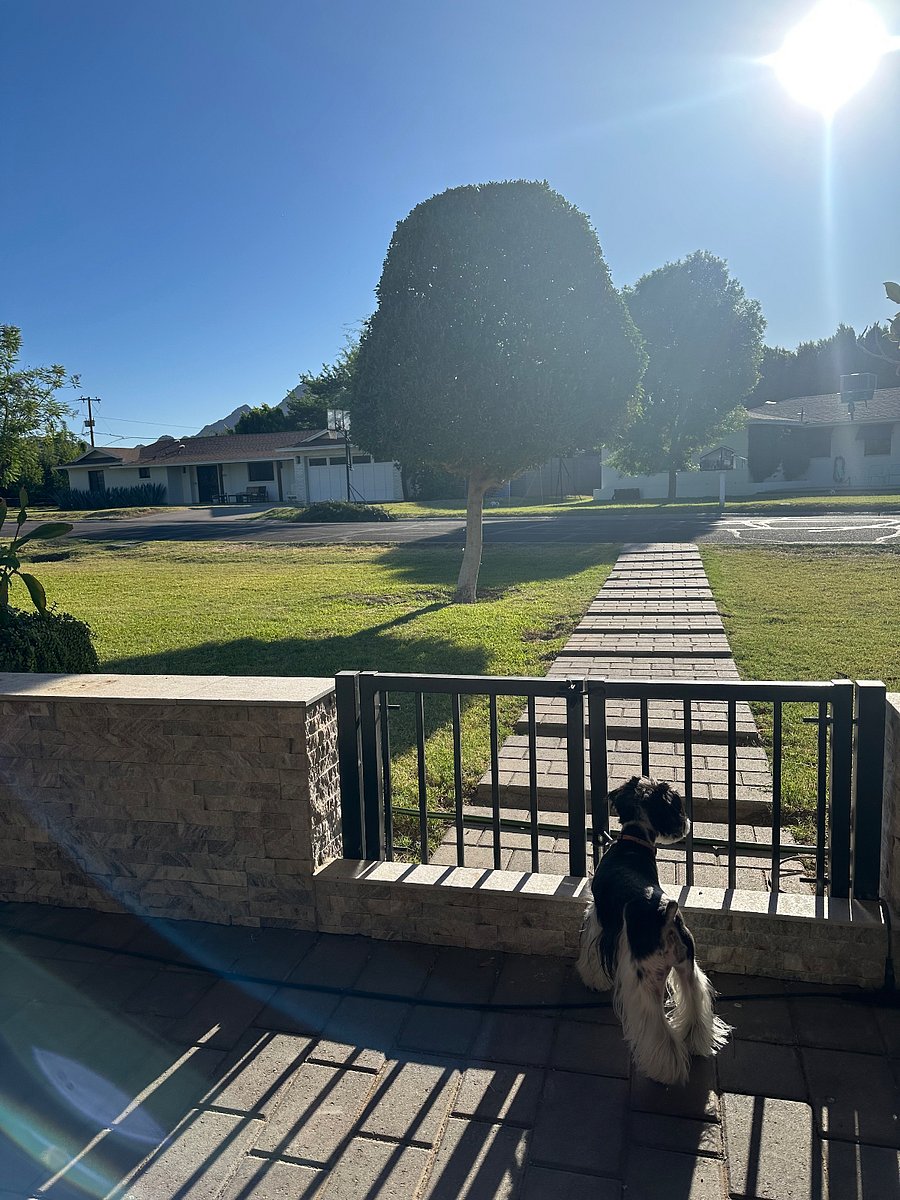 street view from the main house. The neighborhood is established and close to coffee shops, restaurants and grocery stores (Sprouts, Safeway, WholeFoods)