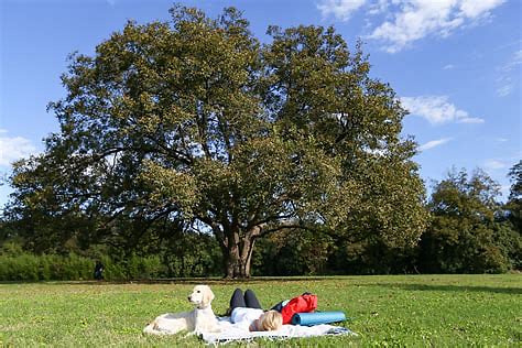 Walk or bike over to discover Govalle Park and the South Walnut Creek Trail.