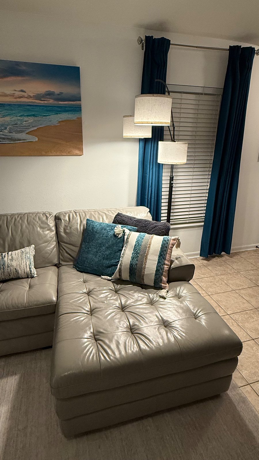 Leather couch