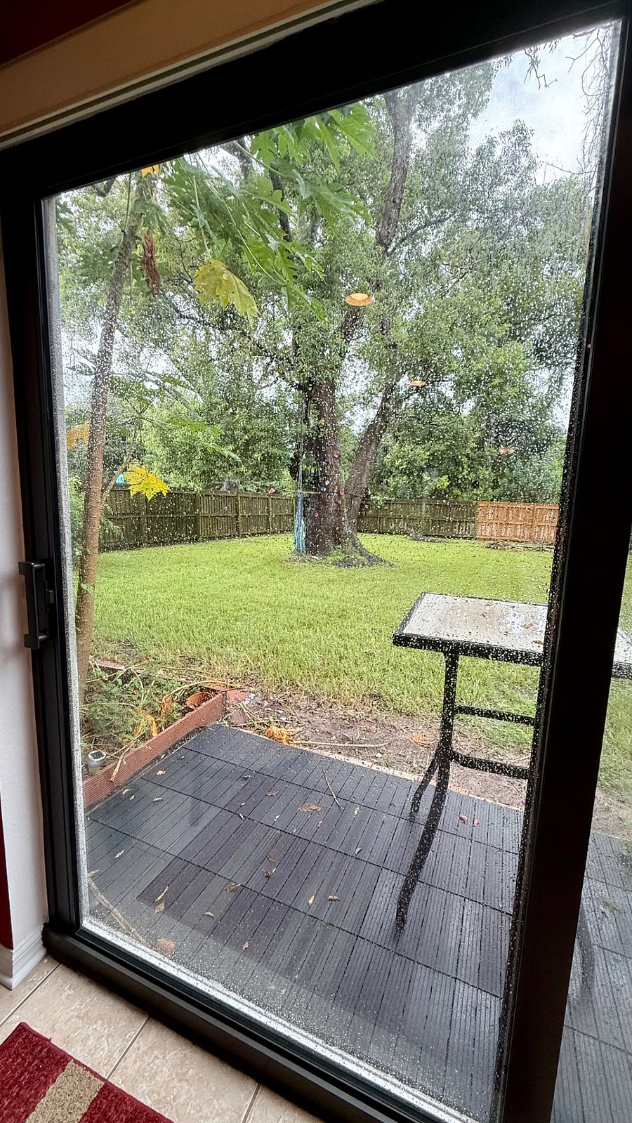 Enjoy nature in your private fenced in back yard